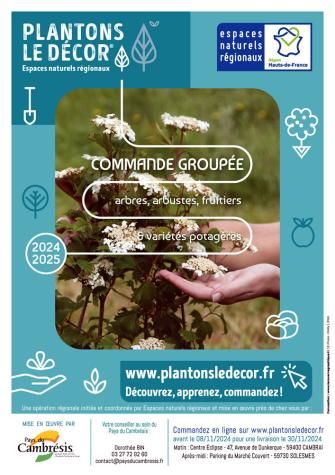 Plantons le décor